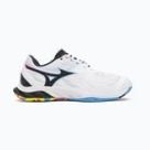 Tollaslabda Mizuno