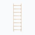 Torna létrák