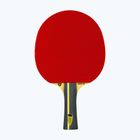 Pingpongütő Tibhar Rookie Drinkhall