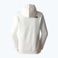 Férfi The North Face Standard Hoodie gardenia fehér/szénbarna víz torzítás nyomtatással 5