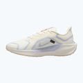 Férfi futócipő Nike Pegasus 41 GTX sail/football grey/sundial/ashen slate 9