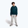Gyerek pulóver New Balance Brush Back Small Logo Hoodie medusa green 2