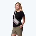 Övtáska Columbia Trail Traveler Hip flint grey/iron/dark stone 7
