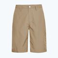 Férfi trekking rövidnadrág Jack Wolfskin Duneland hazel wood 8