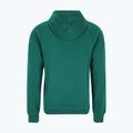 Férfi pulóver FILA Lutheran Hoody aventurine 5