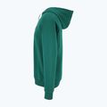 Férfi pulóver FILA Lutheran Hoody aventurine 6
