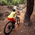 Női kerékpáros póló Endura Singletrack Tank Top sulphur 11