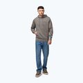 Férfi kapucnis pulóver Pitbull Sampson Hooded Sweatshirt taupe 2