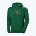 Férfi trekking pulóver Helly Hansen F2F Organic Cotton Hoodie malachite malachite 4