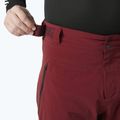 Férfi síelő nadrág Helly Hansen Alpha Lifaloft mars piros 3