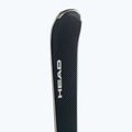 HEAD Prestige SW SF-PR szürke +PRD 14 313600/100830 8