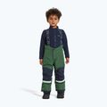 Gyermek sífelszerelés szett Didriksons Skare pine green 10