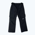Férfi snowboard nadrág Colourwear Flight black 8