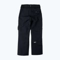 Férfi snowboard nadrág Colourwear Flight black 9