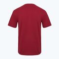 Férfi póló Aeronautica Militare Essential burgundy 2