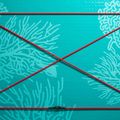 SUP deszka ABSTRACT Coral 10'6'' topaz 3