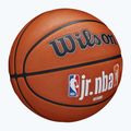 Wilson NBA JR Fam Logo Authentic Outdoor barna kosárlabda 6-os méret 2