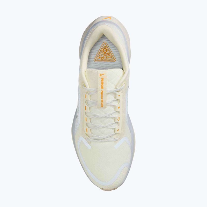 Férfi futócipő Nike Pegasus 41 GTX sail/football grey/sundial/ashen slate 10