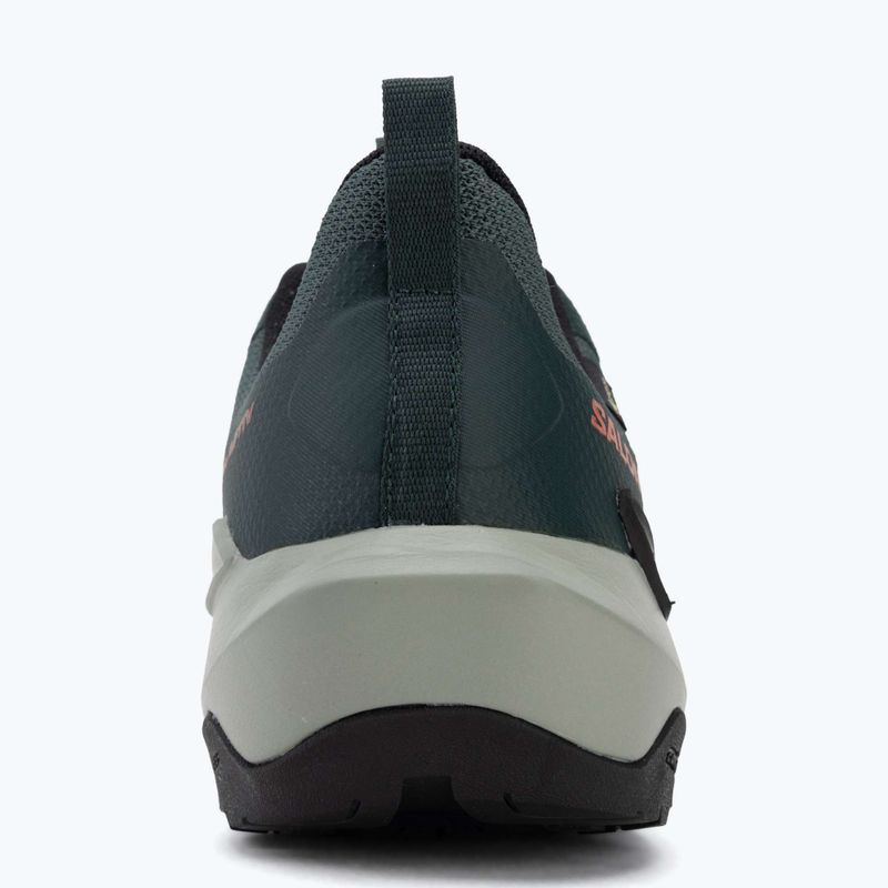 Férfi túracipő Salomon Elixir Activ GTX scarab/green gable 6