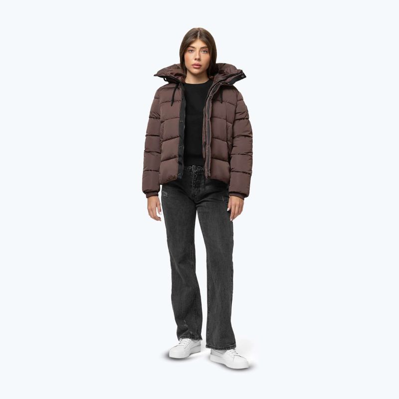 Női téli dzseki Pitbull Amalia Padded Hooded dark chocolate 2
