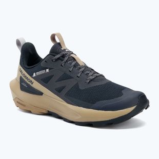 Férfi túracipő Salomon Elixir Activ carbon/slate green/glacier