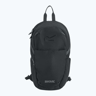 Városi hátizsák REGATTA Everyday Prism 15 l ash