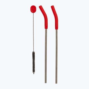 Szívószál Hydro Flask Stainless Steel Straw 2 db goji